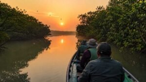 Bhitarkanika-National-Park-safari-adventure