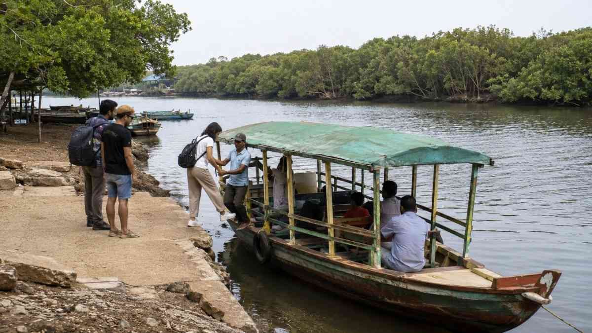 Boat ride through the mangrove creeks during a Bhitarkanika safari