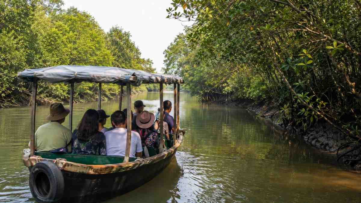 Boat ride through the lush mangrove forest during a Bhitarkanika National Park safari